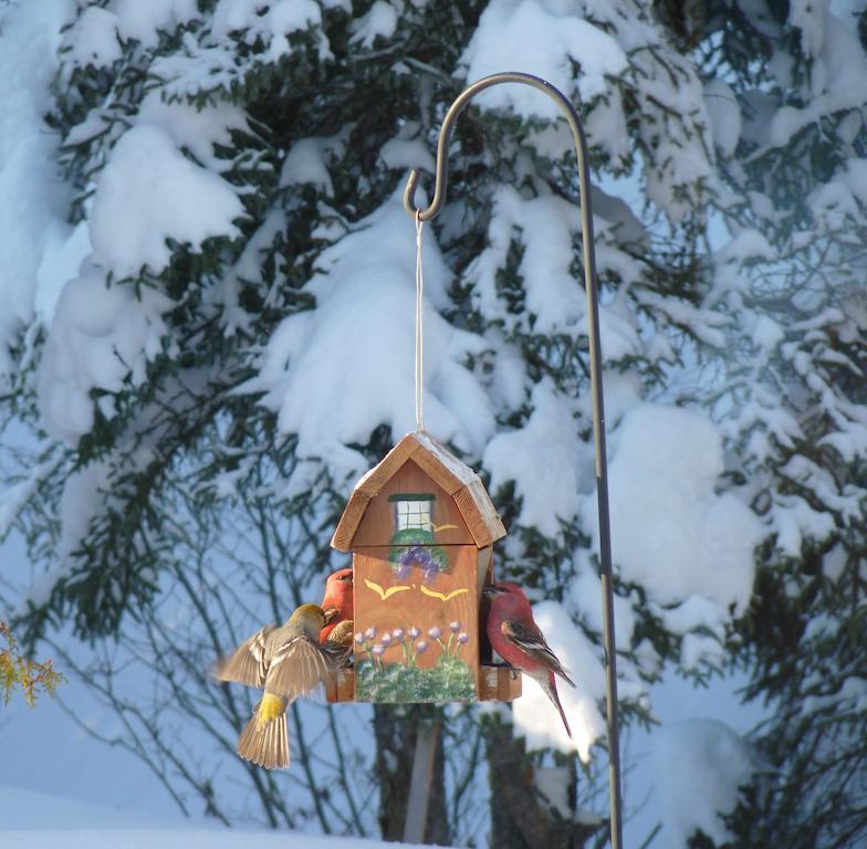 Gite De La Riviere Bed and Breakfast Chibougamau Exterior foto